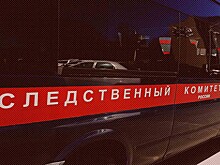 РИА Новости: в Магадане найден мёртвым обвинявшийся в отстреле гусей депутат