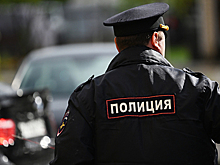 Организаторы незаконной экскурсии по Неглинке получили сроки