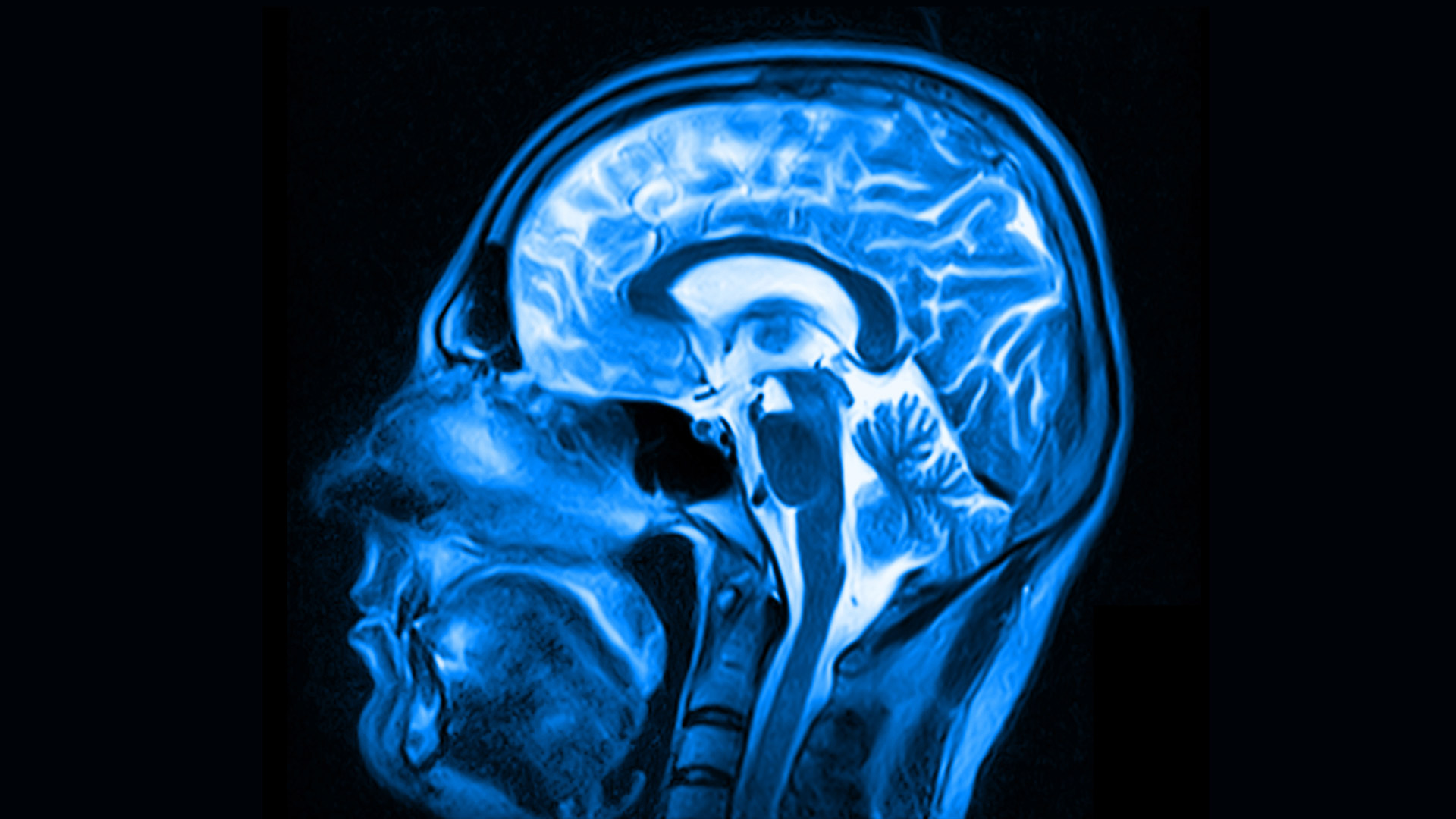 Можно ли «выключить» мозг и ни о чем не думать: анализ