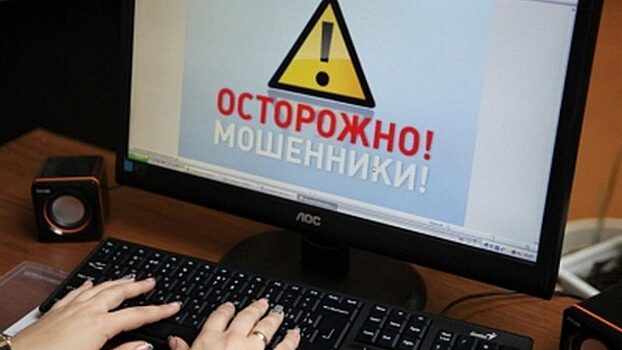 Курганские мошенники – против «своих» не работаем