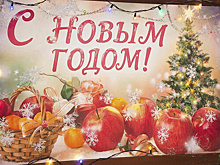 На центральной аллее Ноябрьска обновили экспозицию на перголе