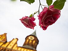 Кафедральный собор запускает два новых экскурсионных проекта