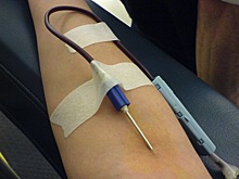 Ученые выяснили как переливание «молодой крови» помогает улучшить когнитивные функции