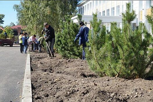 В Томске выбрали участки для озеленения