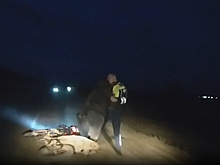 18-летний мотоциклист сбил инспектора ДПС в Удмуртии