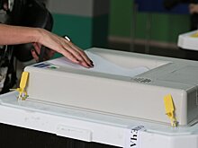 Песков прокомментировал идею запретить иноагентам участвовать в выборах