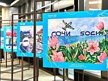 Аэропорт Сочи превратился в арт-галерею: «закулисье» воздушной гавани на детских рисунках