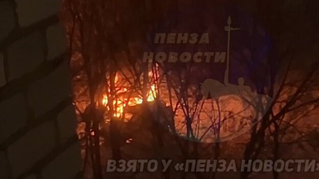 В Сердобске огонь уничтожил один автомобиль и повредил еще два