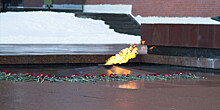 Новости за ночь, которые вы могли пропустить: профилактика Вечного огня в Москве, противоядие от змеиных укусов и Ноев ковчег на горе
