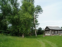 На графских развалинах: в Спасском районе приводят в порядок бывшее имение Толстых