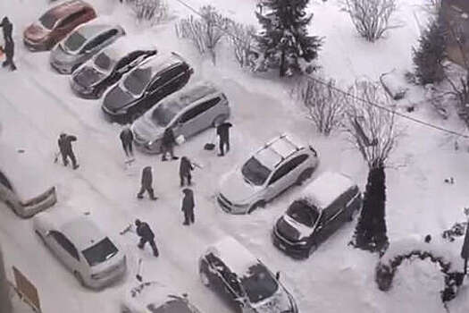 Прокуратура взяла на контроль ликвидацию последствий снегопада в Москве