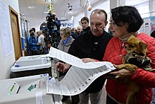 ЦИК назвал окончательные итоги выборов в Госдуму по Москве