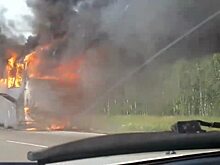 В Алтайском крае автобус загорелся на трассе