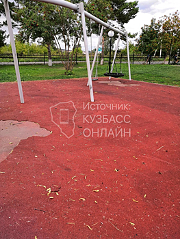 Состояние парка и детской площадки под Кемеровом шокировало местных жителей