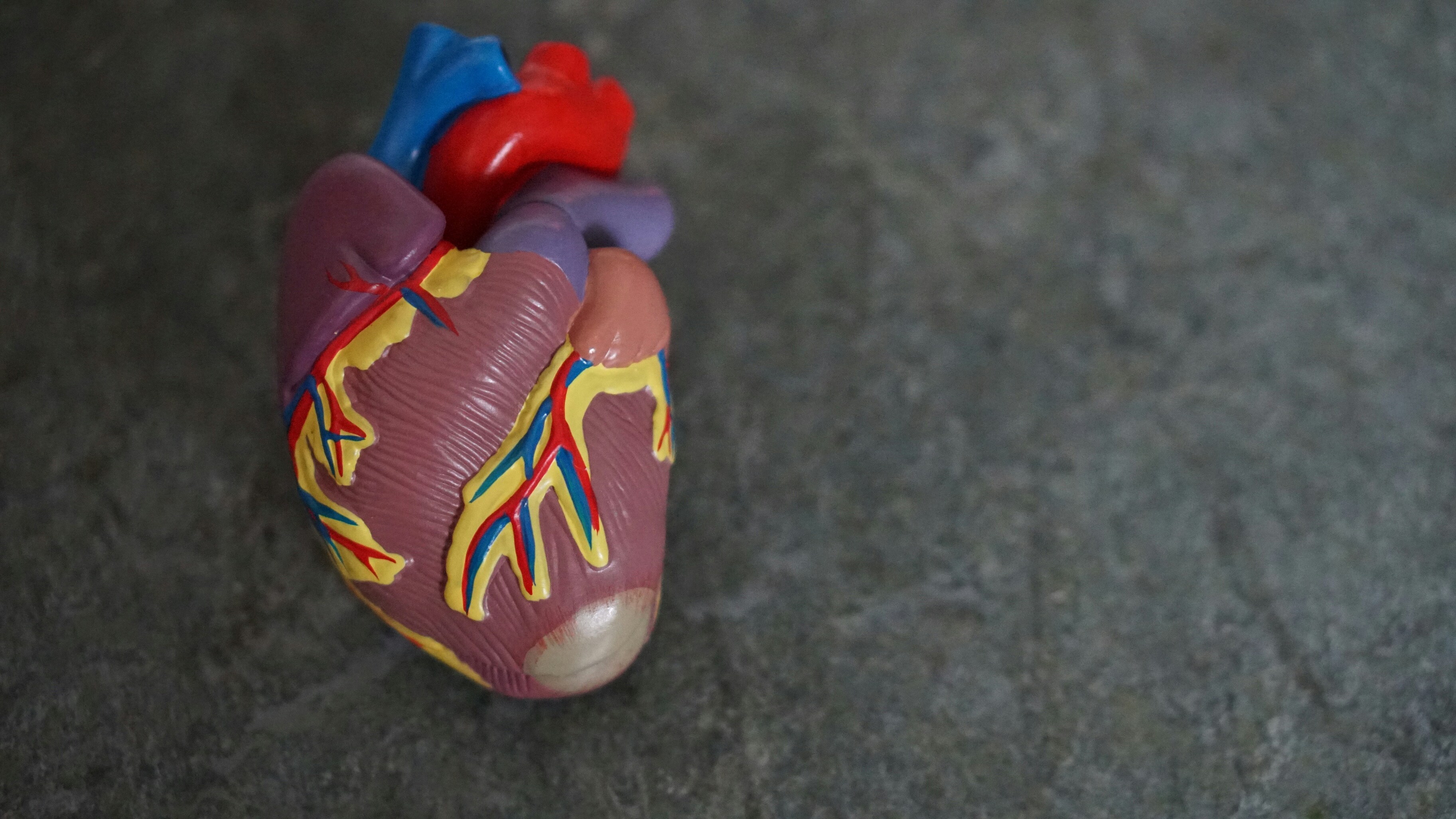 Учёные МФТИ разработали устройство для долгого хранения донорских сердец