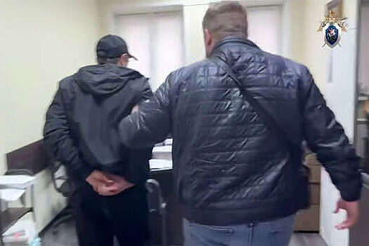 В Подмосковье арестовали водителя, обвиняемого в домогательствах к ребенку