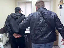 В Подмосковье арестовали водителя, обвиняемого в домогательствах к ребенку