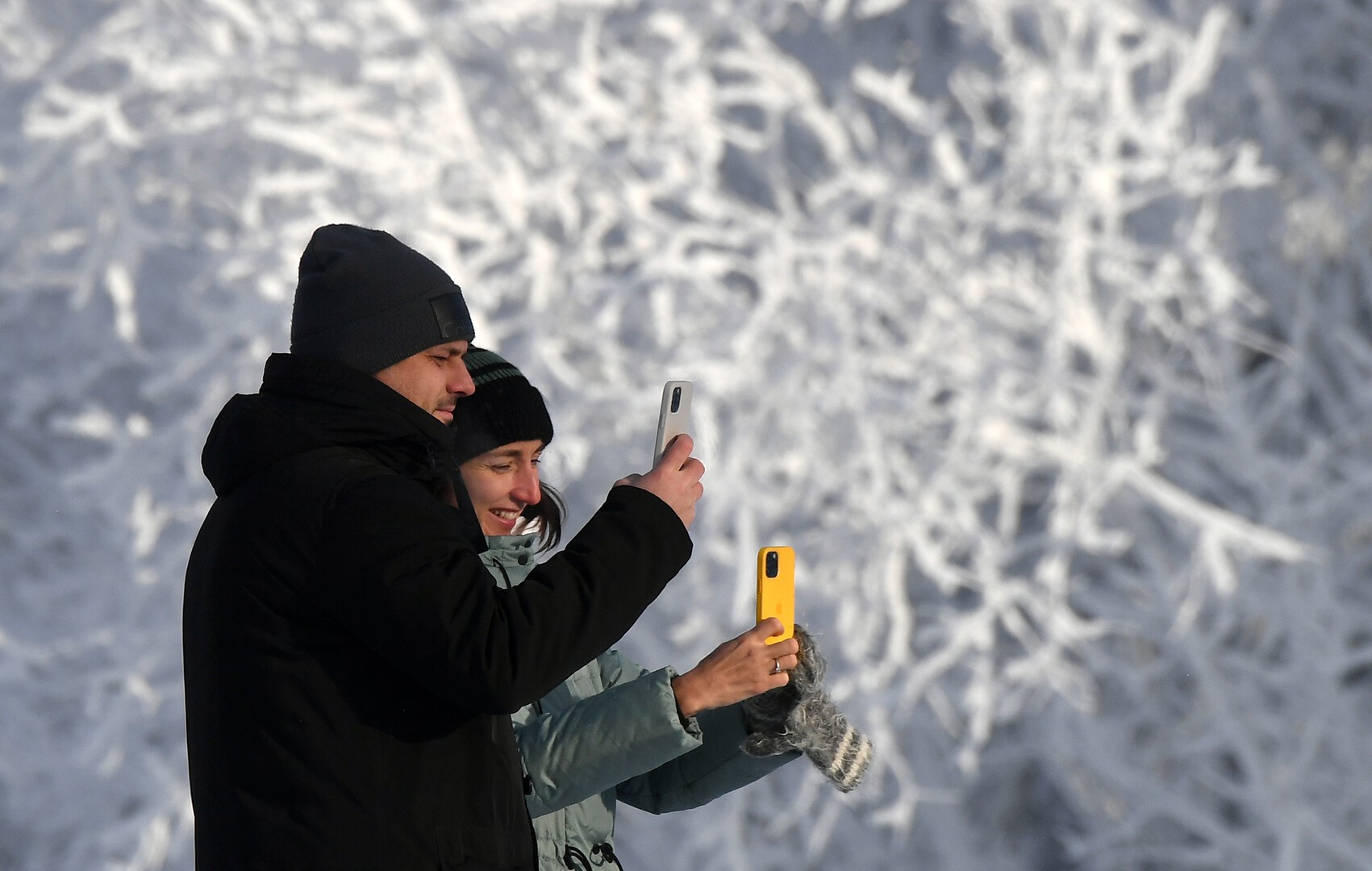 В Ульяновской области ответили на слухи об отключении интернета до конца СВО