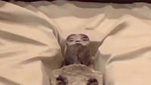 В Мексике представили мумифицированные останки инопланетян