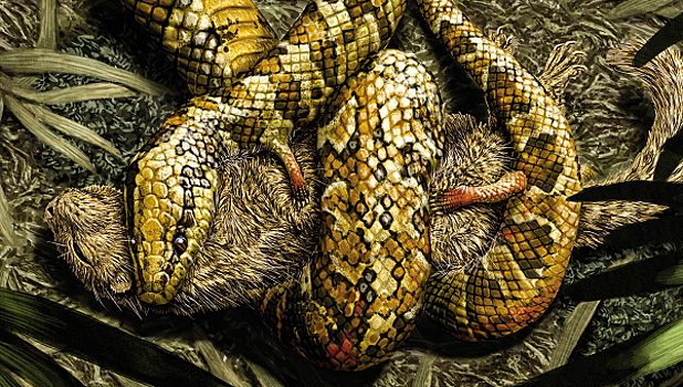 Палеонтологи выяснили, как змеи лишились ног