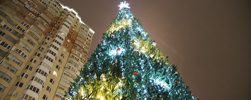 В Красногорске 1 декабря зажгут новогодние елки в двух парках