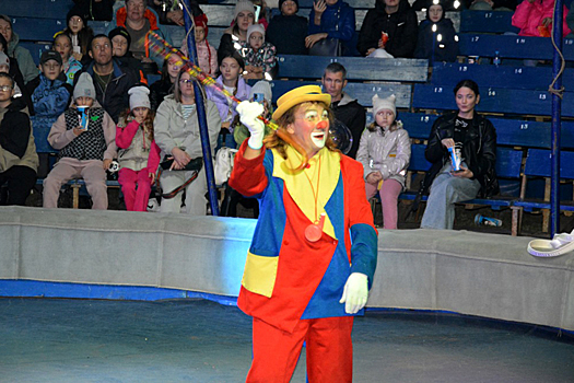 Секреты работы клоуном в цирке раскрыл актер из Новосибирска Андрей Карпов