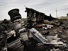 РВ: ПАСЕ заявила, что борт самолета МН17 сбили ВВС России