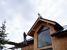 Новосибирский застройщик обманул дольщиков на 445 млн рублей