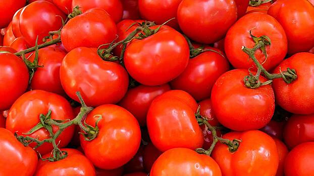 СМИ: Крупнейший в России завод томатной пасты столкнулся с нехваткой семян