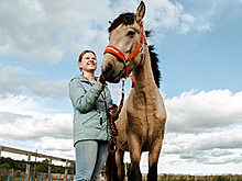 "На них не ездят, с ними дружат". Как в Ленобласти люди спасают лошадей, а лошади — людей