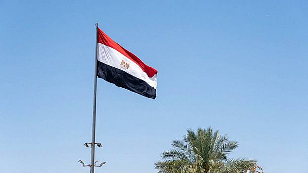 Египет и страны Персидского залива укрепляют экономические связи