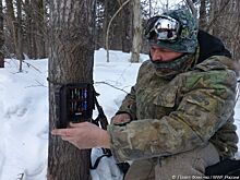 Браконьеры выбили из строя лучшего охотинспектора