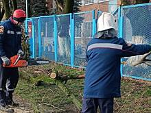 Упавшие деревья и перебои с электричеством: в Армавире устраняют последствия сильного ветра