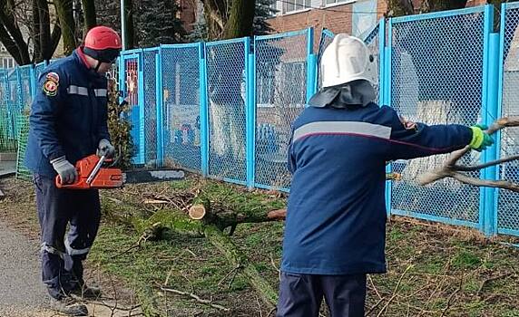 Упавшие деревья и перебои с электричеством: в Армавире устраняют последствия сильного ветра