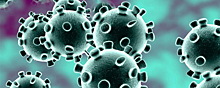 В Новосибирской области выявили еще 50 случаев коронавируса