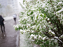 Мокрый снег накроет Кузбасс в субботу