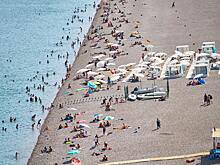 Огромная черепаха искусала россиянку в Турции