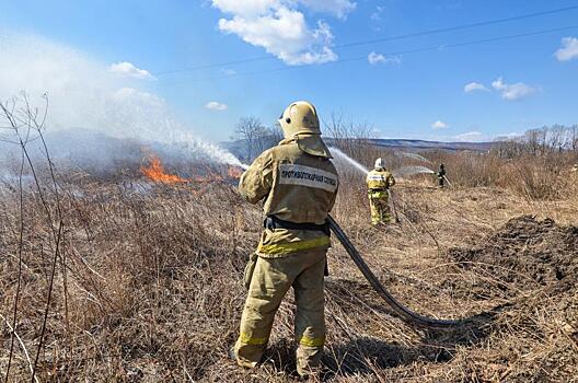 В Приморье продолжают гореть леса