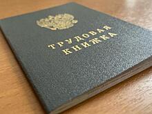 В Курской области насчитали почти 592 тысячи трудоспособных жителей