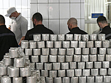 Россиянин получил 6,5 лет колонии за призывы к терроризму