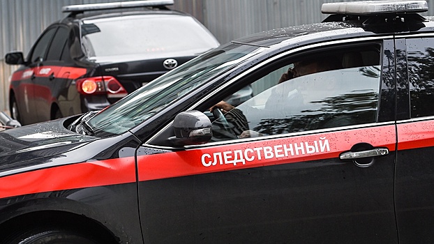Против правнучки Чкалова возбудили дело о призывах к терроризму