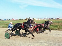 Праздник скорости и топота копыт: на ипподроме в Троицке прошли конные бега и скачки