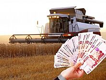 Крым получит более 74 млн рублей в 2021 году на льготные кредиты аграриям