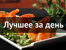 Лучшее за день. 11 апреля