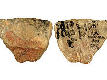 NDTV: в Южной Африке нашли отравленные наконечники стрел возрастом 60 тыс. лет