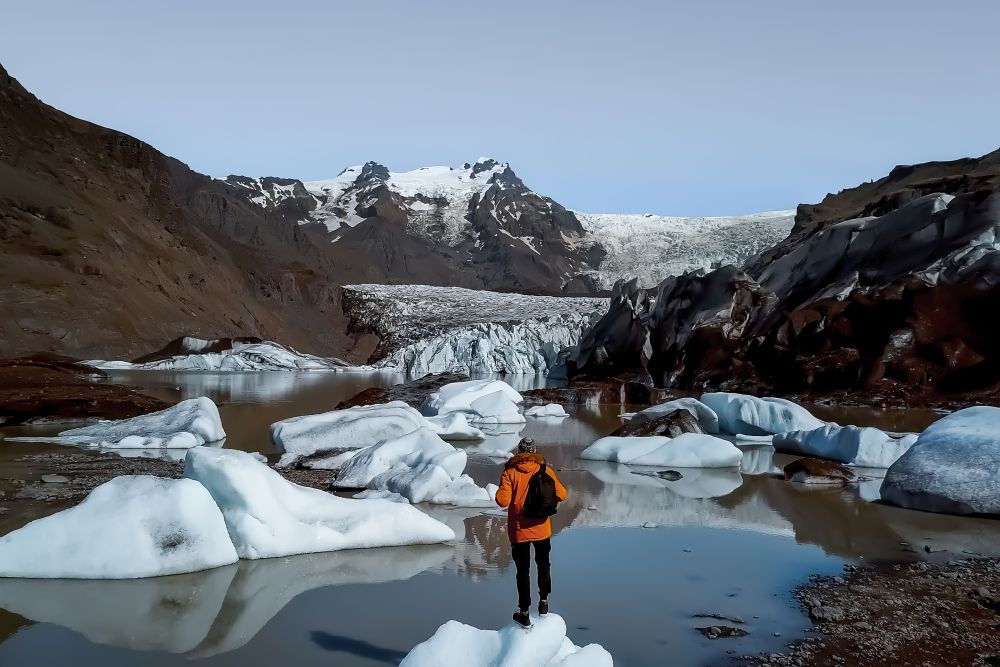 В Антарктиде найдены колонии существ с аномальной генетикой