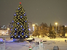 Власти города Карелии собирают с жителей деньги на новогоднюю ель