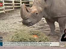 38-летие ростовского носорога