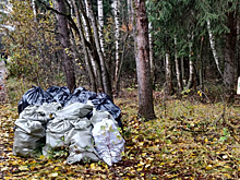 В деревне Протасово во время экопохода собрали 48 мешков мусора