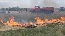 Жителей российского посёлка эвакуируют из-за горения травы